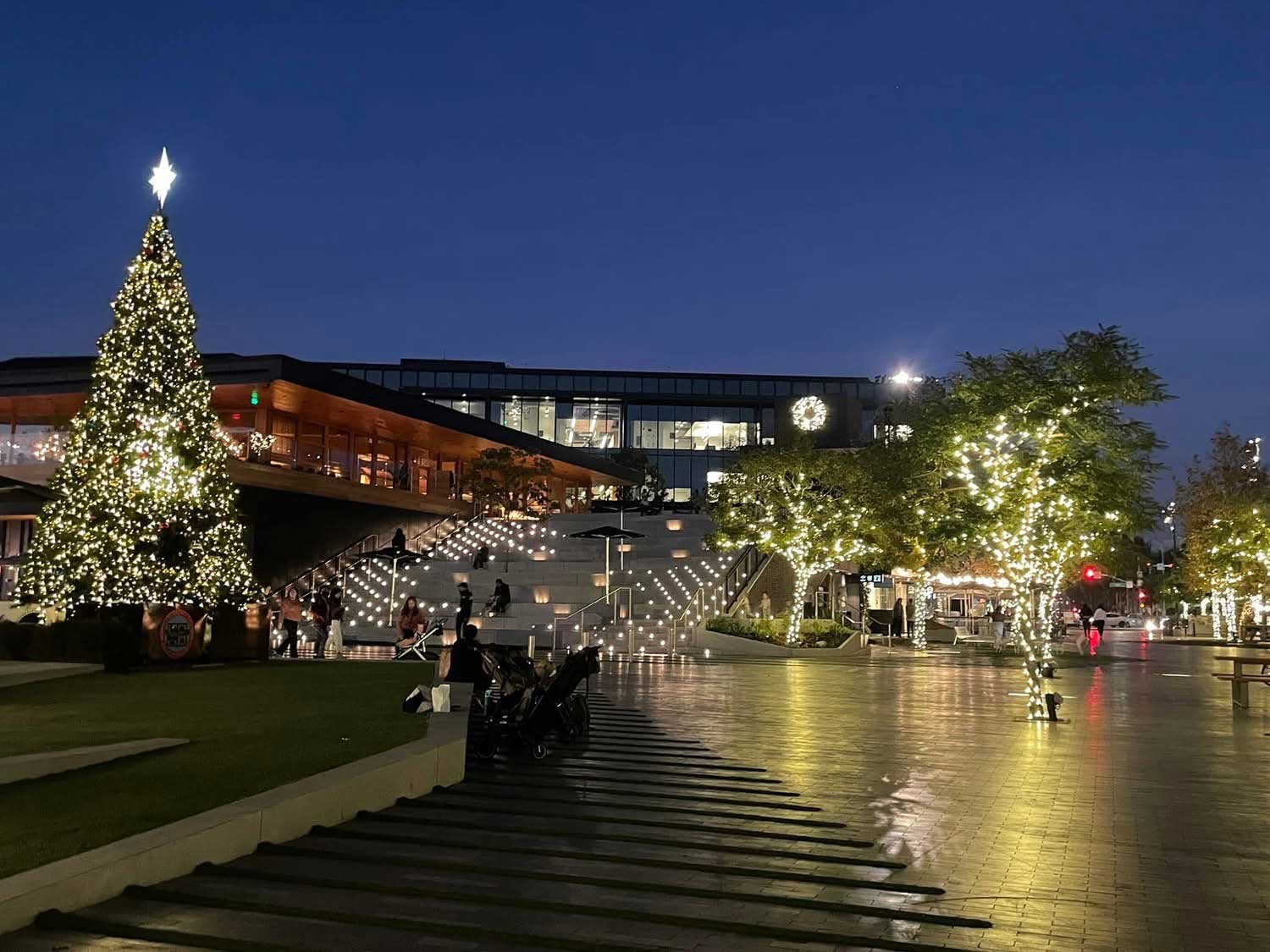 The Culver Steps lit up for the holidays